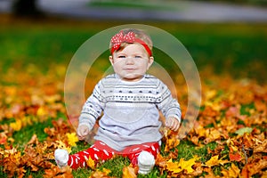 Adorable little baby girl in autumn park on sunny warm october day with oak and maple leaf. Fall foliage. Family outdoor