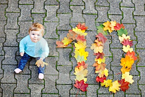 Adorable little baby girl in autumn park on sunny warm october day with oak and maple leaf. Fall foliage. Family outdoor