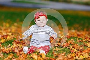 Adorable little baby girl in autumn park on sunny warm october day with oak and maple leaf. Fall foliage. Family outdoor