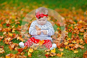 Adorable little baby girl in autumn park on sunny warm october day with oak and maple leaf. Fall foliage. Family outdoor