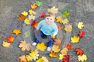 Adorable little baby girl in autumn park on sunny warm october day with oak and maple leaf. Fall foliage. Family outdoor