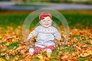 Adorable little baby girl in autumn park on sunny warm october day with oak and maple leaf. Fall foliage. Family outdoor