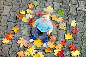 Adorable little baby girl in autumn park on sunny warm october day with oak and maple leaf. Fall foliage. Family outdoor