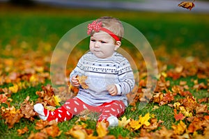 Adorable little baby girl in autumn park on sunny warm october day with oak and maple leaf. Fall foliage. Family outdoor