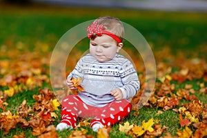 Adorable little baby girl in autumn park on sunny warm october day with oak and maple leaf. Fall foliage. Family outdoor