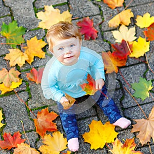 Adorable little baby girl in autumn park on sunny warm october day with oak and maple leaf. Fall foliage. Family outdoor