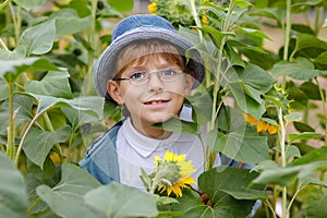 Adorable little blond kid boy with glasses and hat on summer sunflower field outdoors. Cute preschool child having fun