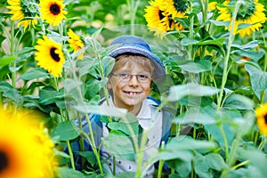 Adorable little blond kid boy with glasses and hat on summer sunflower field outdoors. Cute preschool child having fun