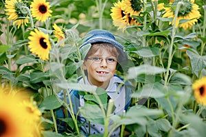 Adorable little blond kid boy with glasses and hat on summer sunflower field outdoors. Cute preschool child having fun