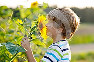 Adorable little blond kid boy on summer sunflower field outdoors