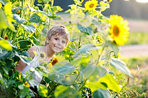 Adorable little blond kid boy on summer sunflower field outdoors