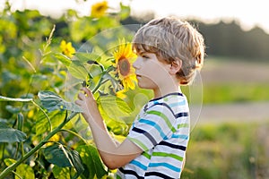 Adorable little blond kid boy on summer sunflower field outdoors