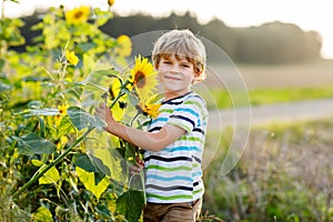 Adorable little blond kid boy on summer sunflower field outdoors