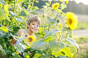 Adorable little blond kid boy on summer sunflower field outdoors