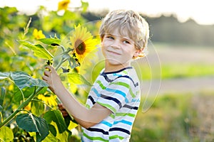 Adorable little blond kid boy on summer sunflower field outdoors. Cute preschool child having fun on warm summer evening