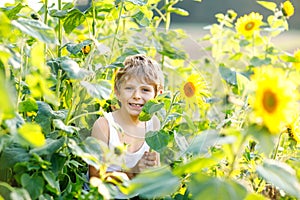 Adorable little blond kid boy on summer sunflower field outdoors. Cute preschool child having fun on warm summer evening