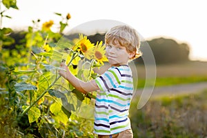 Adorable little blond kid boy on summer sunflower field outdoors. Cute preschool child having fun on warm summer evening