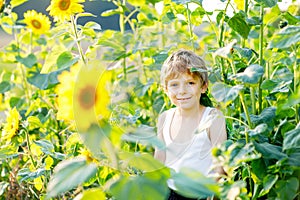 Adorable little blond kid boy on summer sunflower field outdoors. Cute preschool child having fun on warm summer evening