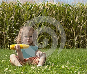 Adorable little blonde Caucasian girl is on the field and eating a corn. The stalks of cor