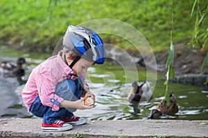 Adorable little boy, feeding ducks