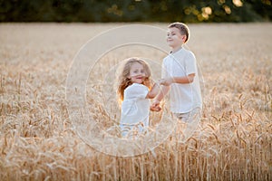 Adorable little boy and girl in the sun at sunset in a wheat field. Happy kids outside. Walk. Warm summer. Emotions