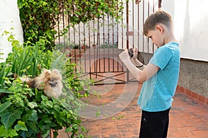 Adorable little boy shooting photos of his dog with digital camera