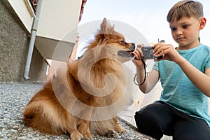 Adorable little boy shooting photos of his pomeranian dog with digital camera