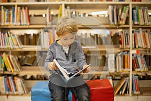 Adorable little boy, sitting in library, reading book and choosing what to lend, kid in book store