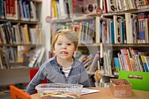 Adorable little boy, sitting in library, reading book and choosing what to lend, kid in book store