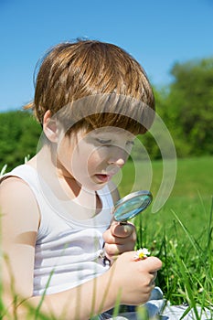 Adorable Little Boy Watching Daisy Carefully Through The Magnifying Glass On Green Meadow On Sunny Spring Day