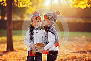 Adorable little brothers with teddy bear in park on autumn day