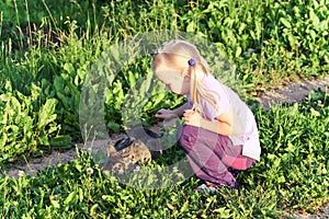 Adorable little caucasian girl stroking her cat.