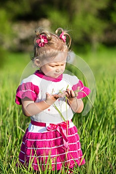 Adorable little child girl on grass on meadow. Summer green nature background.