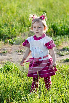 Adorable little child girl on grass on meadow. Summer green nature background.