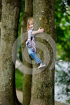 Adorable little coala bear