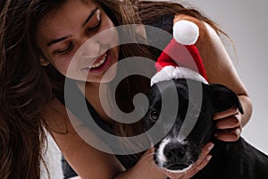 Adorable little dog wearing a red Santa Hat for Christmas
