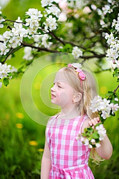 Adorable little girl in blooming apple tree garden on beautiful spring day