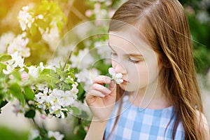 Adorable little girl in blooming apple tree garden on beautiful spring day