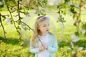 Adorable little girl in blooming apple tree garden on beautiful spring day. Cute child picking apple tree flowers at spring