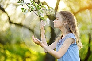 Adorable little girl in blooming apple tree garden on beautiful spring day