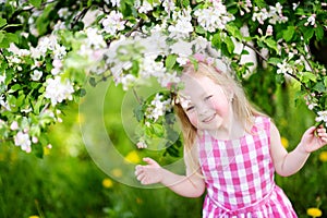 Adorable little girl in blooming apple tree garden on spring day