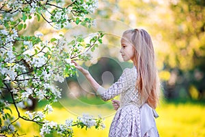 Adorable little girl in blooming apple tree garden on spring day