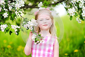 Adorable little girl in blooming apple tree garden on spring day