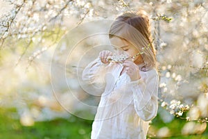 Adorable little girl in blooming cherry garden