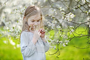 Adorable little girl in blooming cherry garden