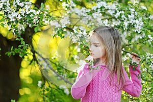 Adorable little girl in blooming cherry garden