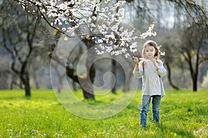 Adorable little girl in blooming cherry garden