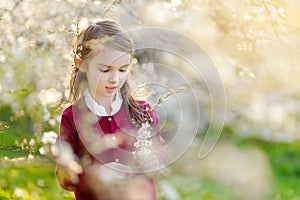 Adorable little girl in blooming cherry tree garden on beautiful spring day