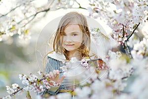 Adorable little girl in blooming cherry tree garden on beautiful spring day