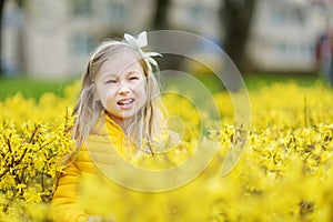 Adorable little girl in blooming Forsythia bushes on beautiful spring day